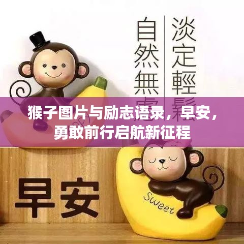 猴子图片与励志语录，早安，勇敢前行启航新征程