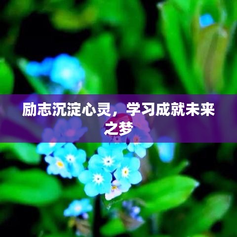 励志沉淀心灵，学习成就未来之梦
