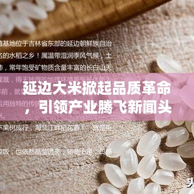 延边大米掀起品质革命，引领产业腾飞新闻头条