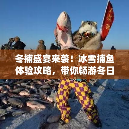 2025年5月8日 第4页