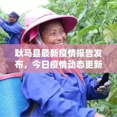 耿马县最新疫情报告发布，今日疫情动态更新