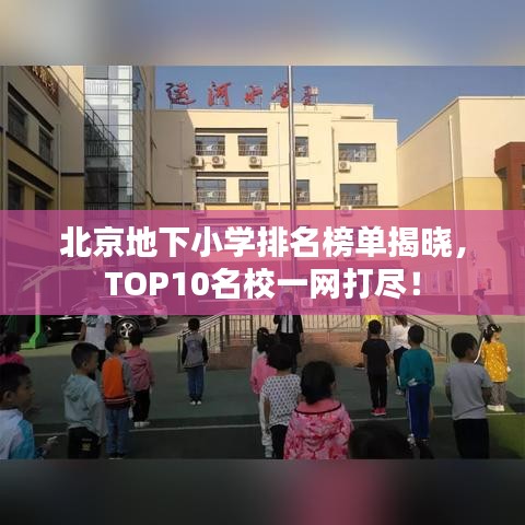 北京地下小学排名榜单揭晓，TOP10名校一网打尽！