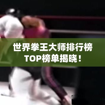 世界拳王大师排行榜TOP榜单揭晓！