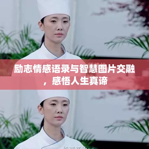励志情感语录与智慧图片交融，感悟人生真谛
