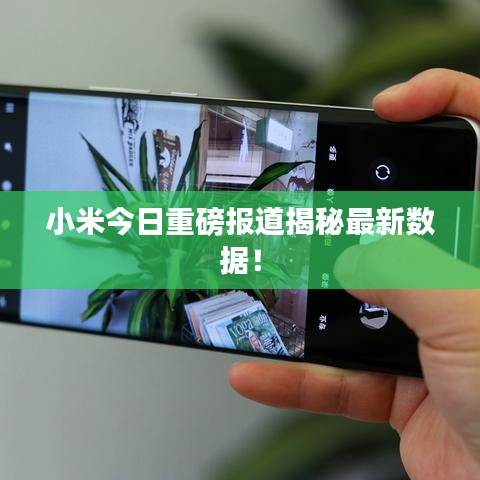 小米今日重磅报道揭秘最新数据！
