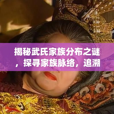 揭秘武氏家族分布之谜，探寻家族脉络，追溯分布起源