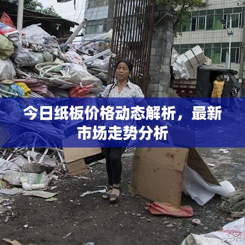 今日纸板价格动态解析，最新市场走势分析