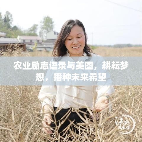 农业励志语录与美图，耕耘梦想，播种未来希望