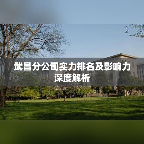 武昌分公司实力排名及影响力深度解析