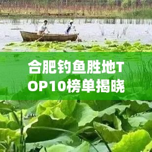 合肥钓鱼胜地TOP10榜单揭晓！必去十大钓鱼地点推荐
