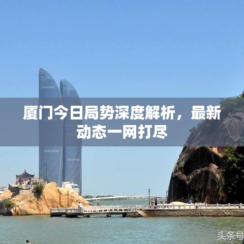 厦门今日局势深度解析，最新动态一网打尽