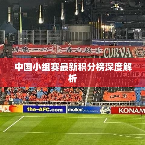 中国小组赛最新积分榜深度解析