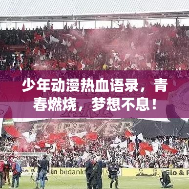少年动漫热血语录，青春燃烧，梦想不息！