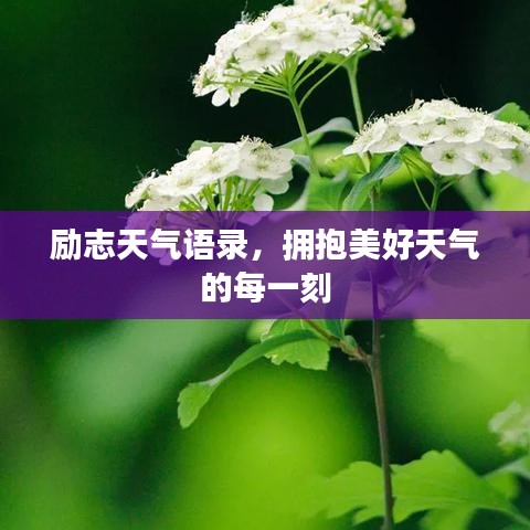 励志天气语录，拥抱美好天气的每一刻