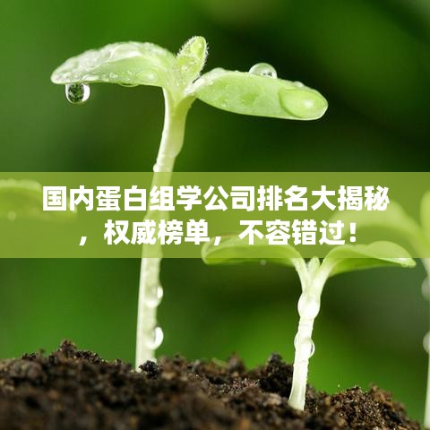 国内蛋白组学公司排名大揭秘，权威榜单，不容错过！