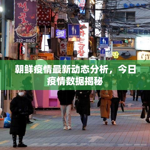 朝鲜疫情最新动态分析，今日疫情数据揭秘