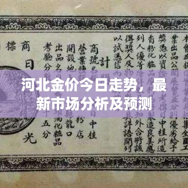 河北金价今日走势，最新市场分析及预测