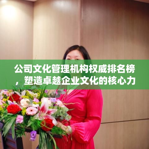 公司文化管理机构权威排名榜，塑造卓越企业文化的核心力量
