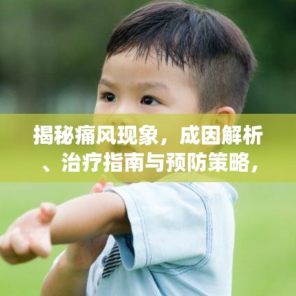 揭秘痛风现象，成因解析、治疗指南与预防策略，头条新闻关注健康热点！