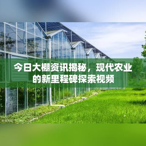 今日大棚资讯揭秘，现代农业的新里程碑探索视频