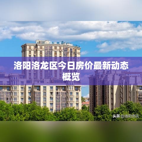 洛阳洛龙区今日房价最新动态概览