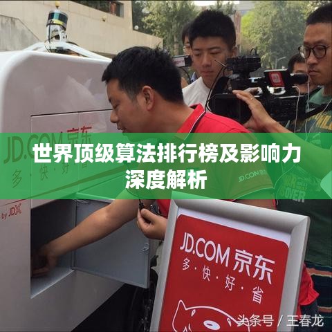 世界顶级算法排行榜及影响力深度解析