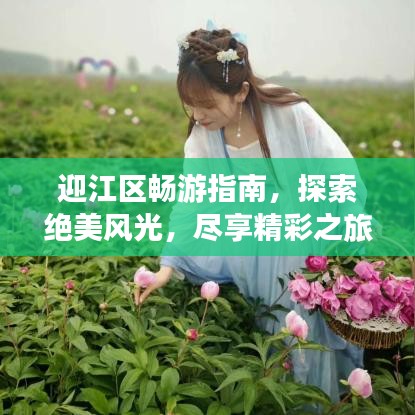 迎江区畅游指南，探索绝美风光，尽享精彩之旅！