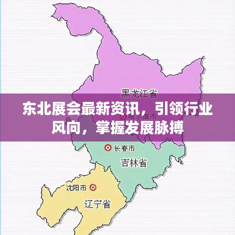 东北展会最新资讯，引领行业风向，掌握发展脉搏
