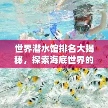 世界潜水馆排名大揭秘，探索海底世界的热门目的地！