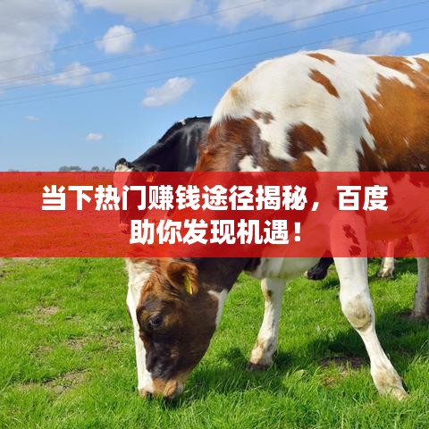 当下热门赚钱途径揭秘，百度助你发现机遇！