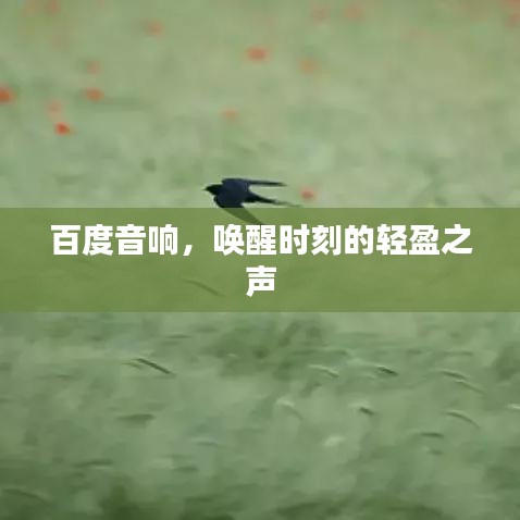 百度音响，唤醒时刻的轻盈之声