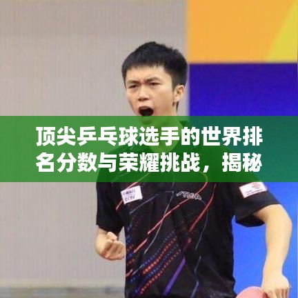 顶尖乒乓球选手的世界排名分数与荣耀挑战，揭秘全球乒坛精英的竞技风采