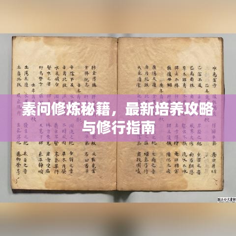 素问修炼秘籍，最新培养攻略与修行指南