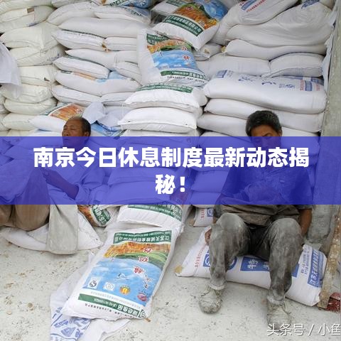 南京今日休息制度最新动态揭秘！