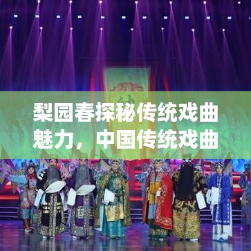 梨园春探秘传统戏曲魅力，中国传统戏曲之旅