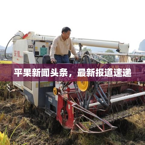 平果新闻头条，最新报道速递
