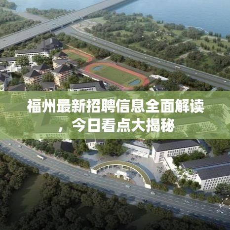 福州最新招聘信息全面解读，今日看点大揭秘
