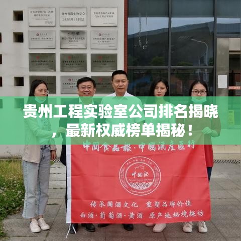 贵州工程实验室公司排名揭晓，最新权威榜单揭秘！