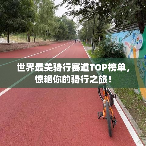 世界最美骑行赛道TOP榜单，惊艳你的骑行之旅！