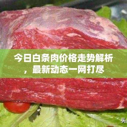 今日白条肉价格走势解析，最新动态一网打尽
