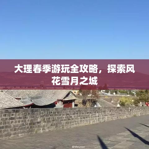 大理春季游玩全攻略，探索风花雪月之城