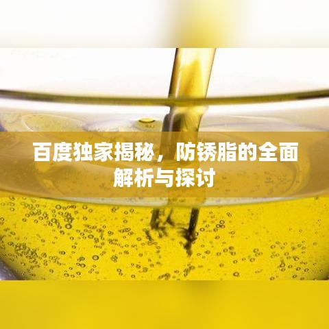 百度独家揭秘，防锈脂的全面解析与探讨