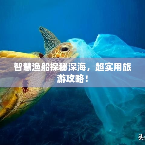 智慧渔船探秘深海，超实用旅游攻略！