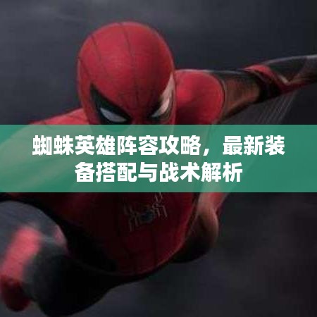 蜘蛛英雄阵容攻略，最新装备搭配与战术解析
