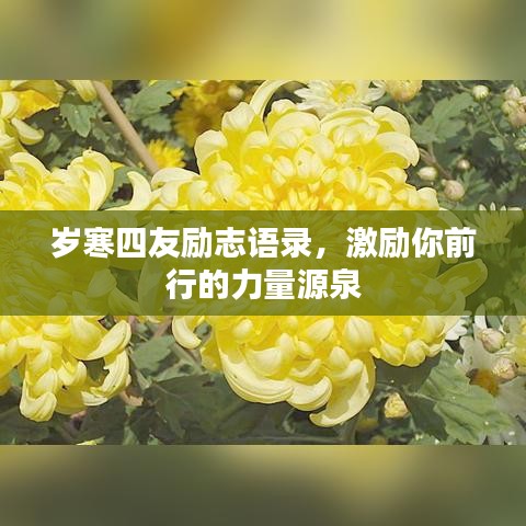 岁寒四友励志语录，激励你前行的力量源泉