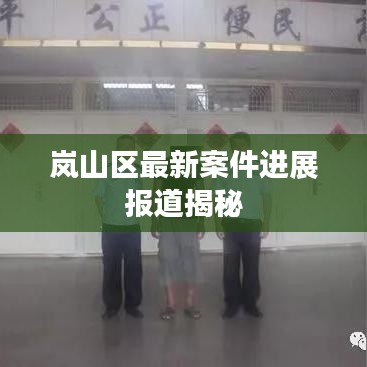 岚山区最新案件进展报道揭秘