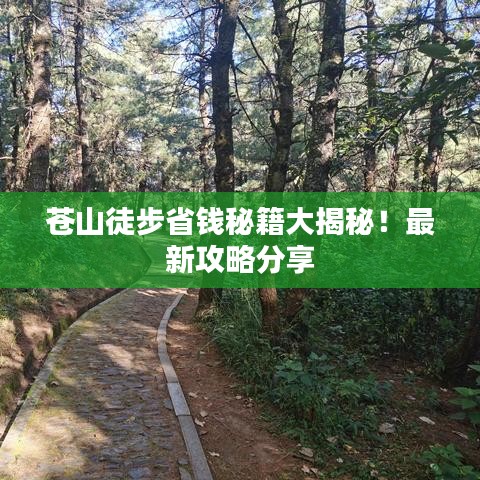 苍山徒步省钱秘籍大揭秘！最新攻略分享
