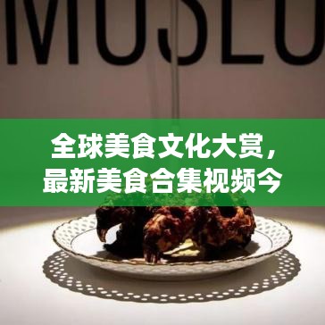 全球美食文化大赏，最新美食合集视频今日发布