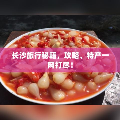 长沙旅行秘籍，攻略、特产一网打尽！