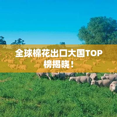 全球棉花出口大国TOP榜揭晓！